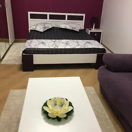 Cozy Studio Romexpo Apartment Bucharest