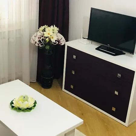 Cozy Studio Romexpo Apartment